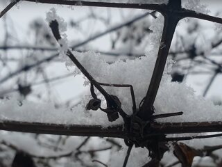 Погода в Україні