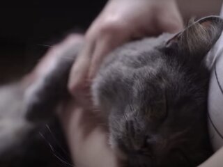 Погода в Україні