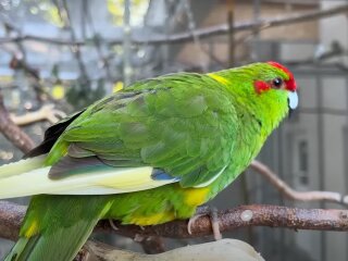 Погода в Україні