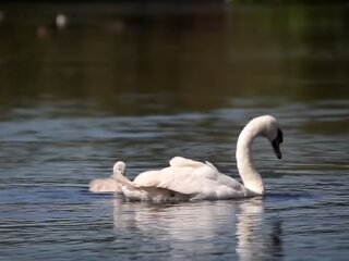 Погода в Україні