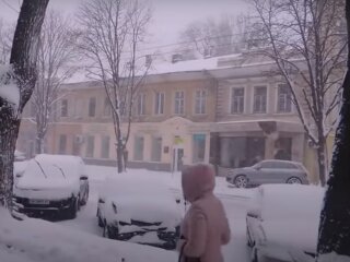 Снігопад в Україні