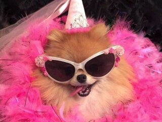 Гороскоп, изображение: Pinterest