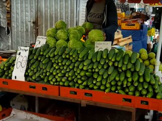 Фото огурцов