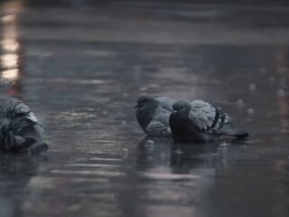 Погода в Україні