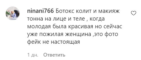 Коментарі зі сторінки Віри Брежнєвої в Instagram