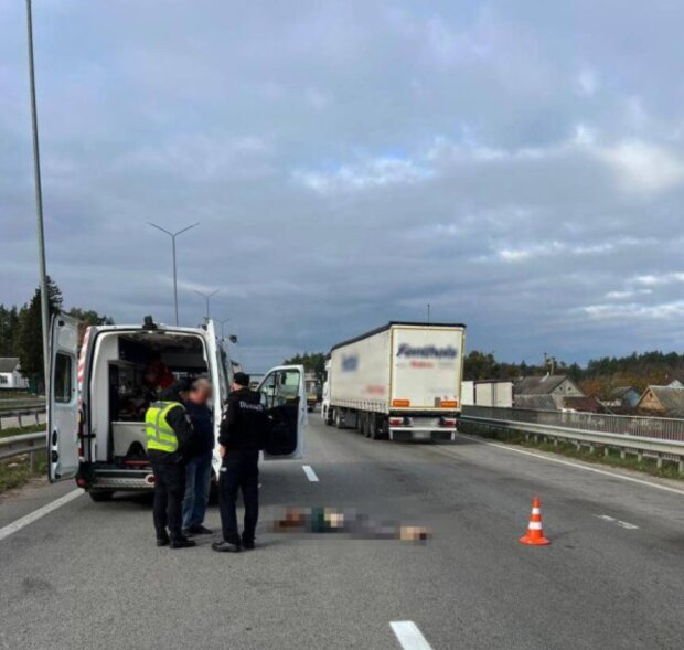 ДТП на Житомирской трассе, фото: Нацполиция