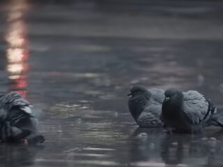 Погода в Україні