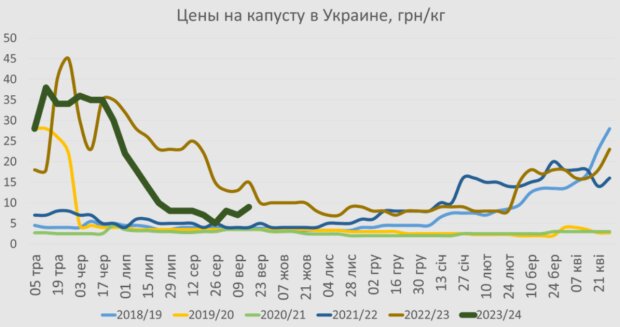 Цены на капусту, инфографика АПК-Информ: овощи и фрукты
