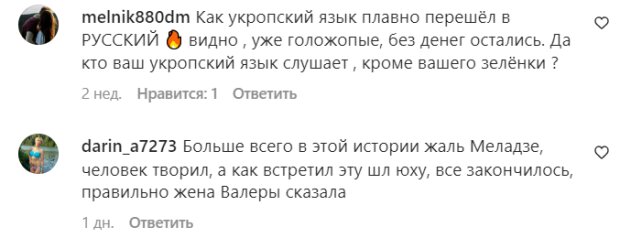 Коментарі на пост Віри Брежнєвої в Instagram