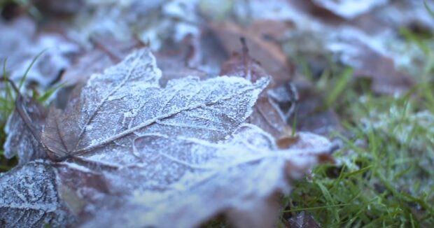 Заморозки в Украине