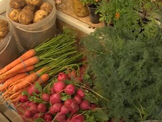 Ціна на моркву в Україні