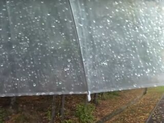 Погода в Україні