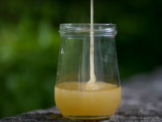 Вартість меду в Україні