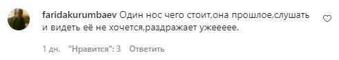 Коментарі з фан-сторінки Алли Пугачової в Instagram