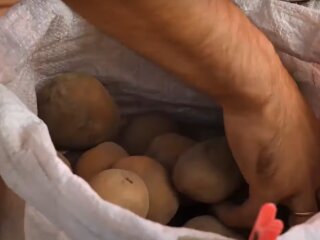 Ціни на картоплю в Україні