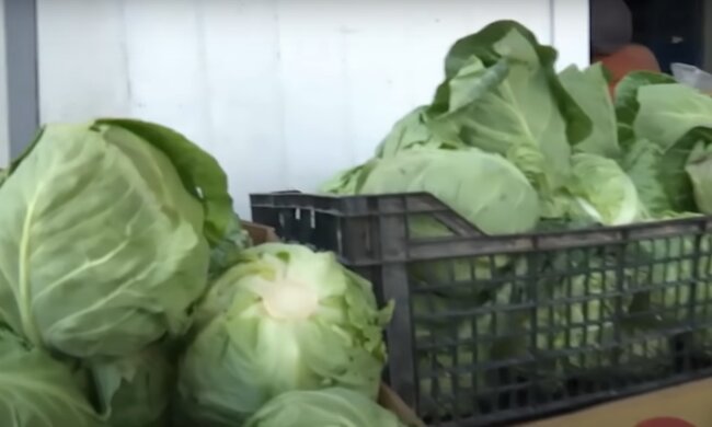 Цены на капусту в Украине