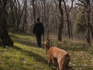 Погода в Україні