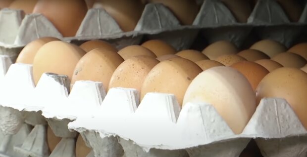 Вартість яєць в Україні