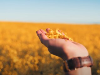 Погода в Україні