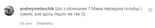 Коментарі зі сторінки Лесі Нікітюк в Instagram