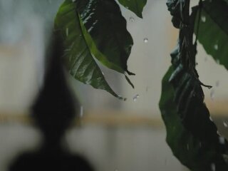 Погода в Україні