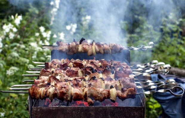 Шашлыки, изображение из свободных источников