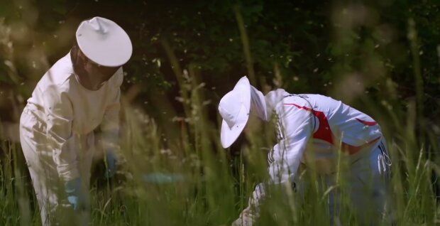 Вартість меду в Україні