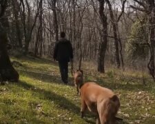 Погода в Украине