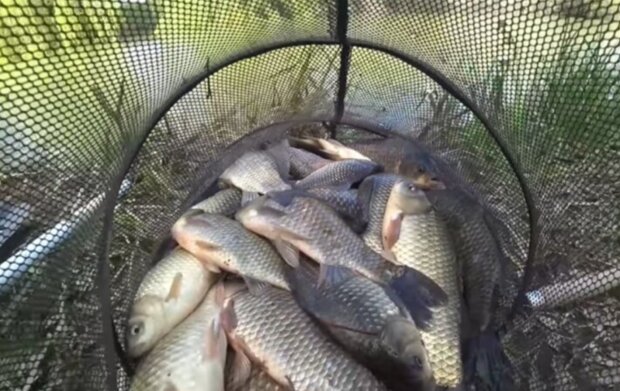 Риболовля, фото з вільних джерел