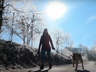 Погода в Україні