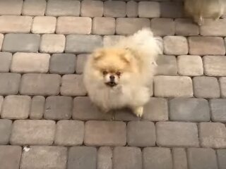 Погода в Україні