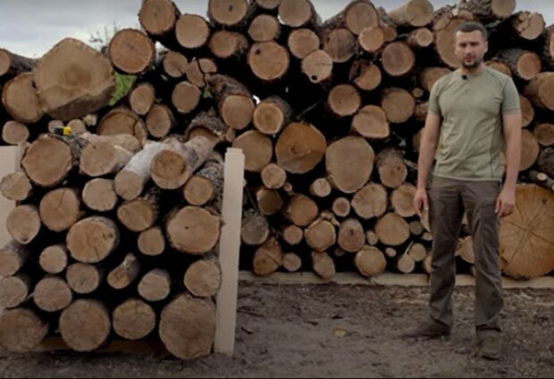 Дрова, фото з вільних джерел