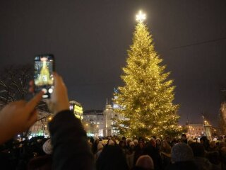 Елка во Львове, фото из соцсетей