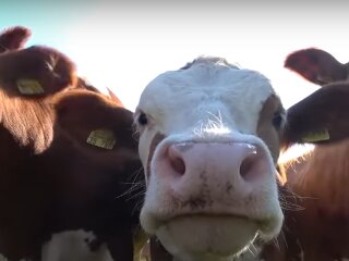 Погода в Україні