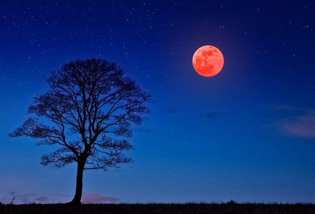 Полнолуние, изображение из свободных источников