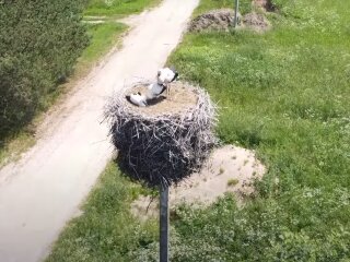 Погода в Україні