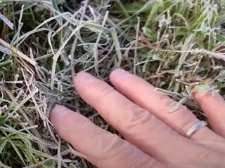 Погода в Україні