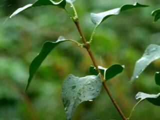 Погода в Україні