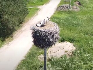 Погода в Україні